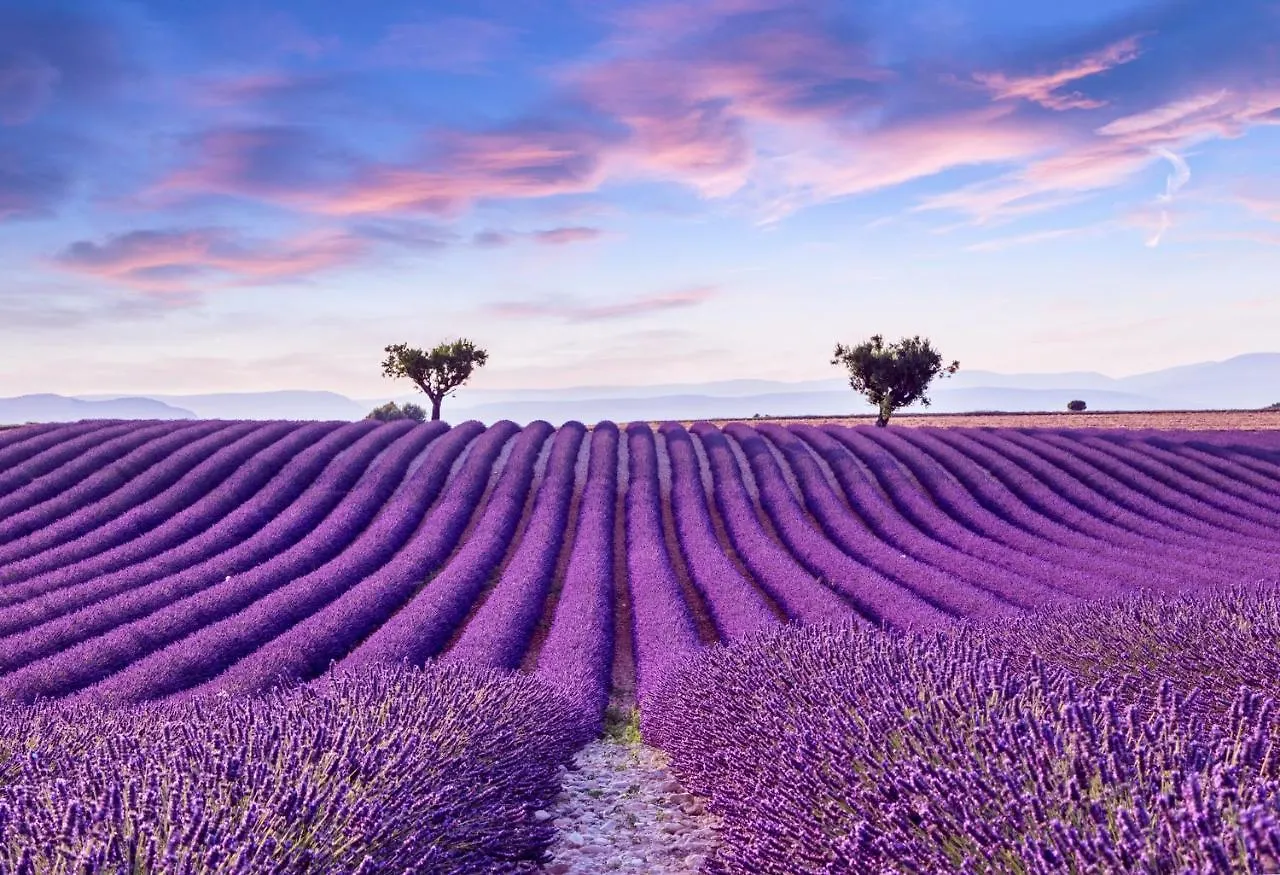 La Maison Des Collines contacts