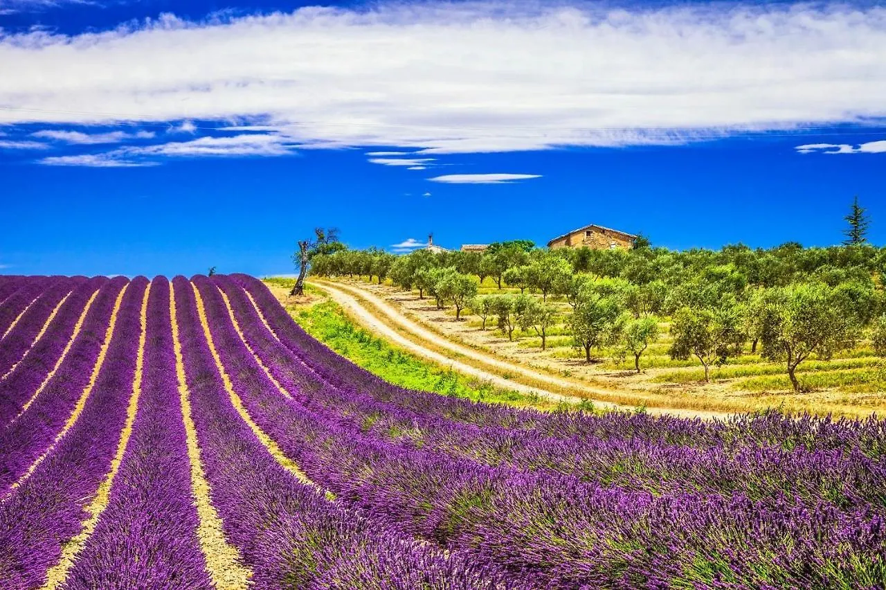 La Maison Des Collines Allemagne-en-Provence Homestay