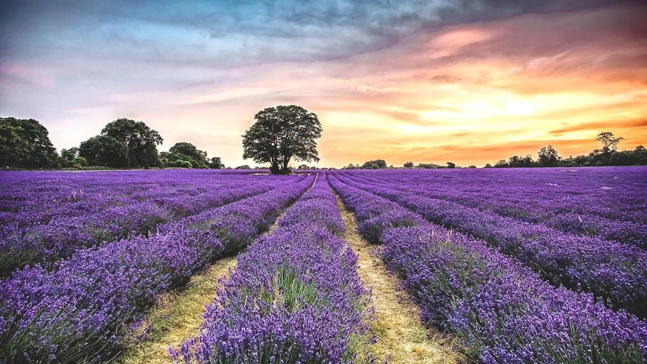 La Maison Des Collines Allemagne-en-Provence France